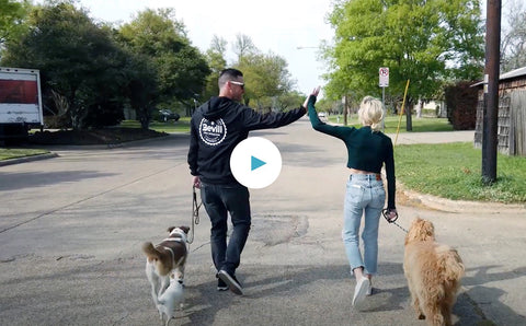 In-Home Intervention with Nastia Liukin and Harley