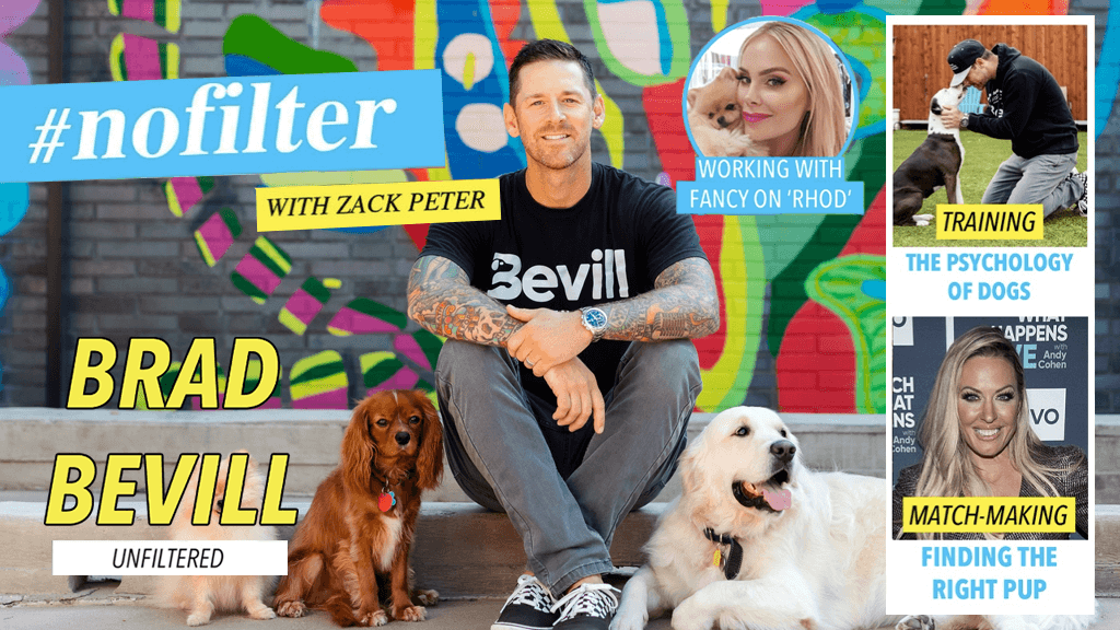 Brad on #unfiltered with Zack Peter