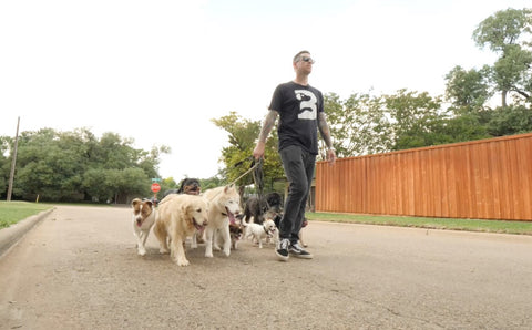 Bevill’s Training Tips: CW’s DFW MetroPetsa