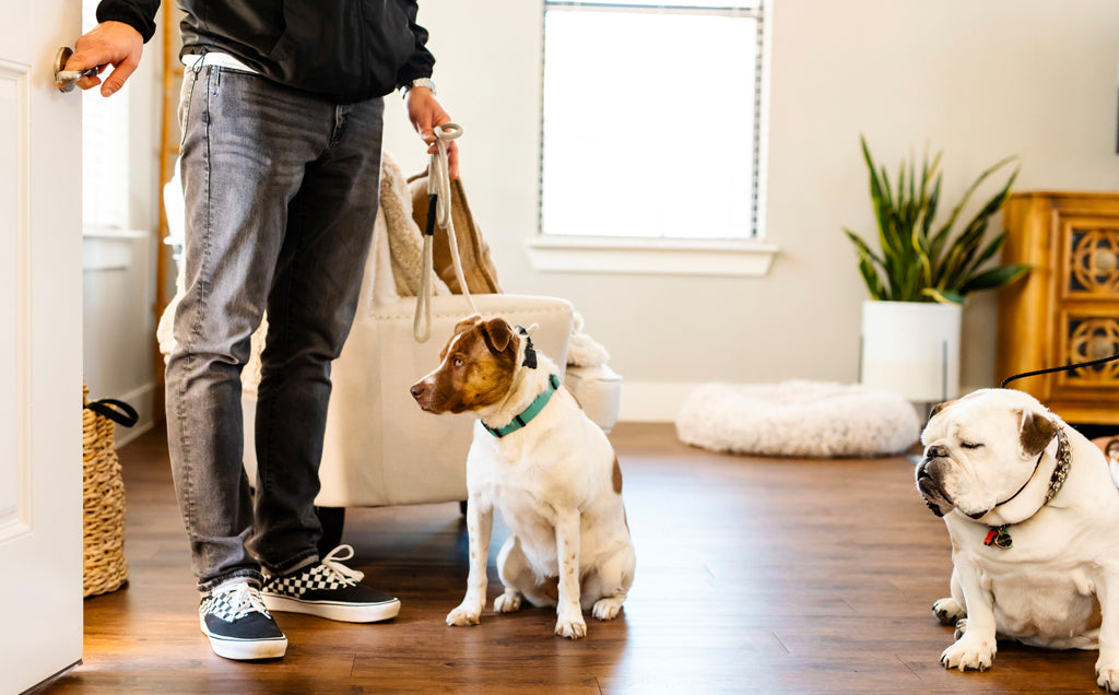 Opinion: Why Dogs Should Respect Thresholds
