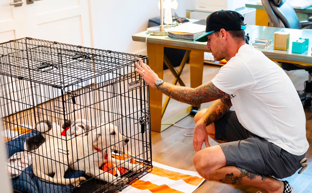 Crate Anxiety – A Behaviorists Guide to Improving Your Dog’s Crate Anxiety