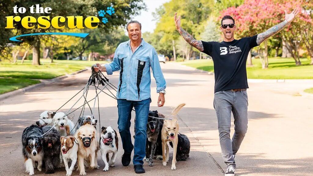 Brad on CW’s To the Rescue: Episode 2