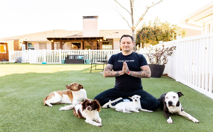 A Guided Meditation for Dog Walks