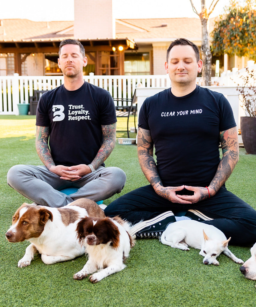 Sit. Stay. Breathe. Online Course