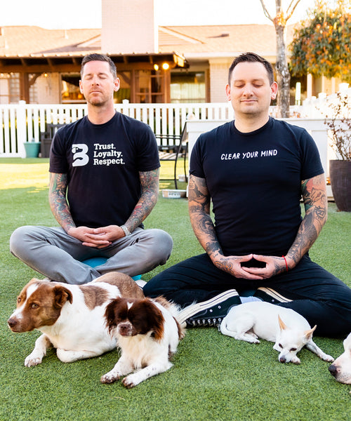 Sit. Stay. Breathe. Online Course