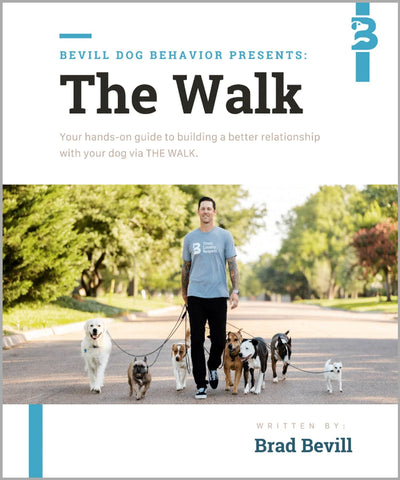 E-Book: The Walk (50% OFF)