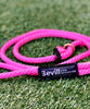 Slip Lead Leash | Bevill Dog Behavior				