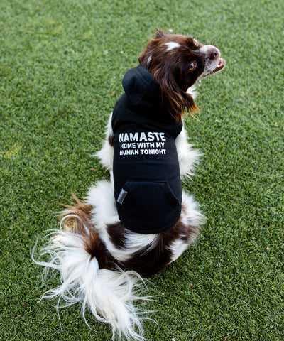 Namaste Hoodie
