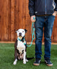 BDB Standard clip leash (3/8”)